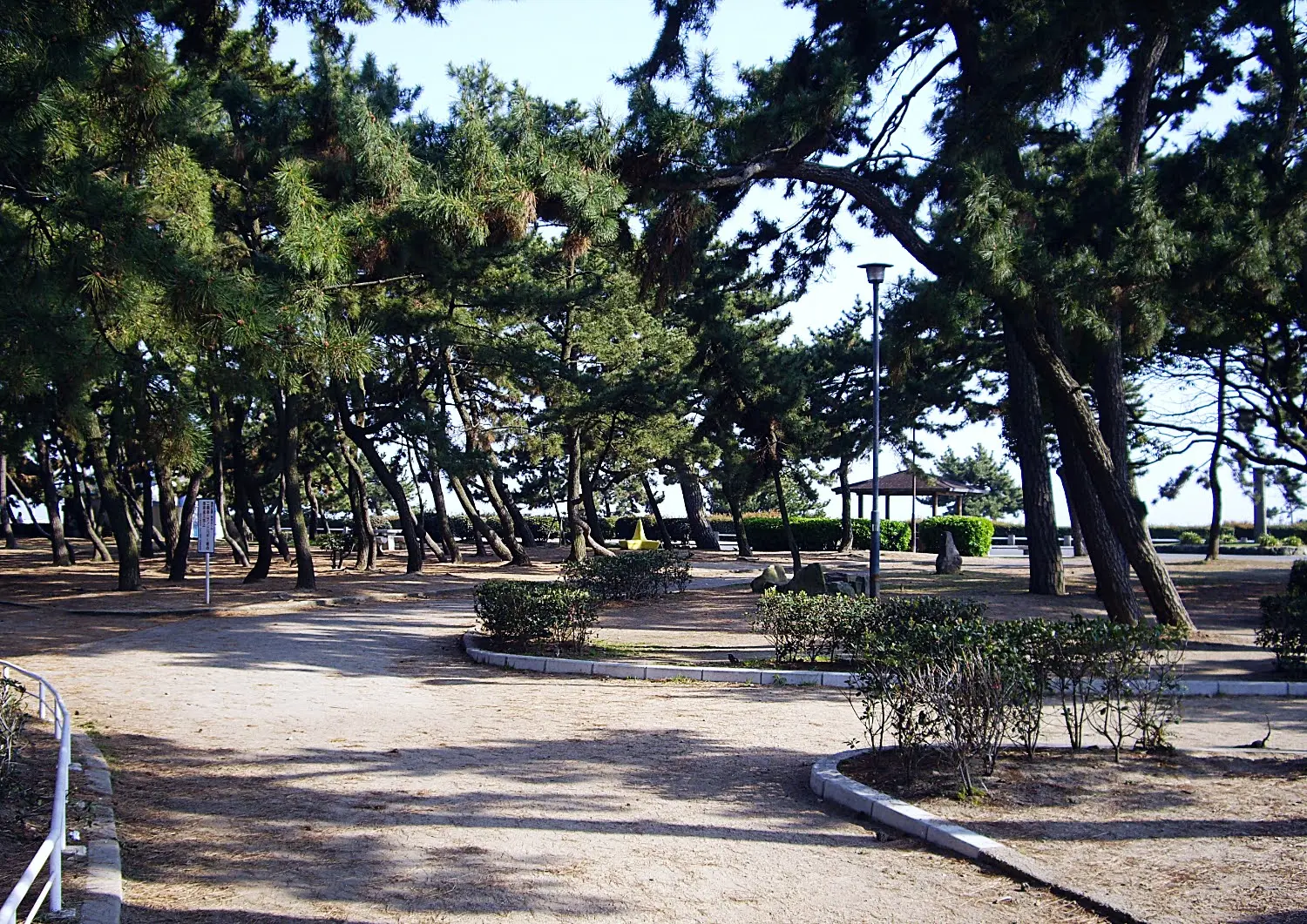 兵庫県神戸市須磨区の須磨海浜公園.14