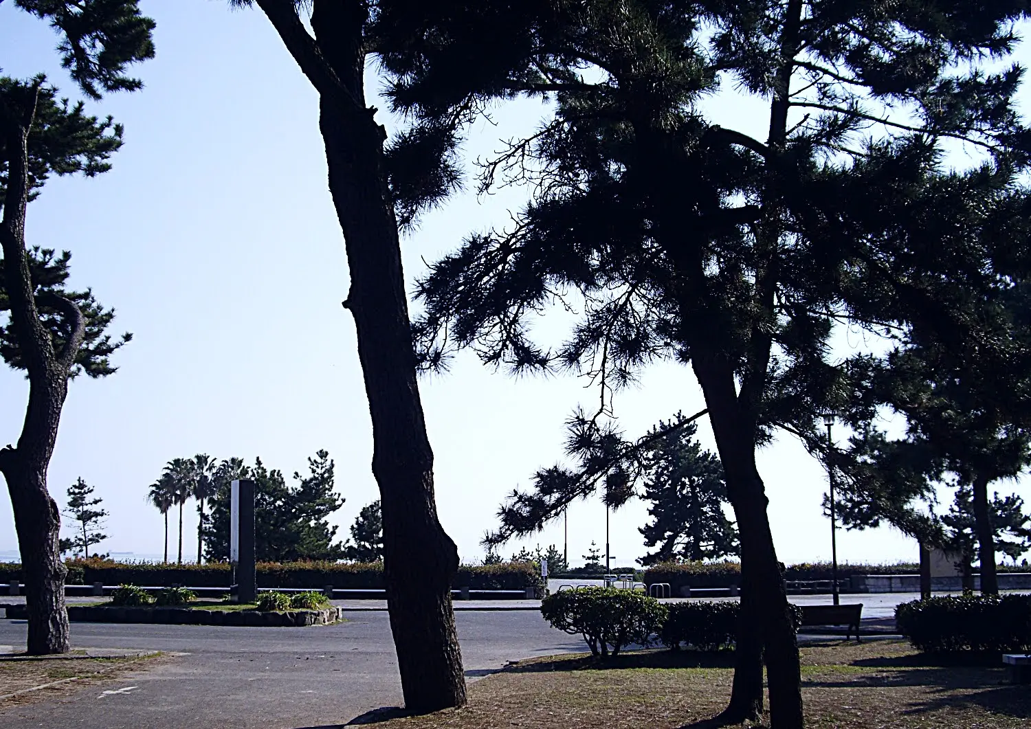 兵庫県神戸市須磨区の須磨海浜公園.13