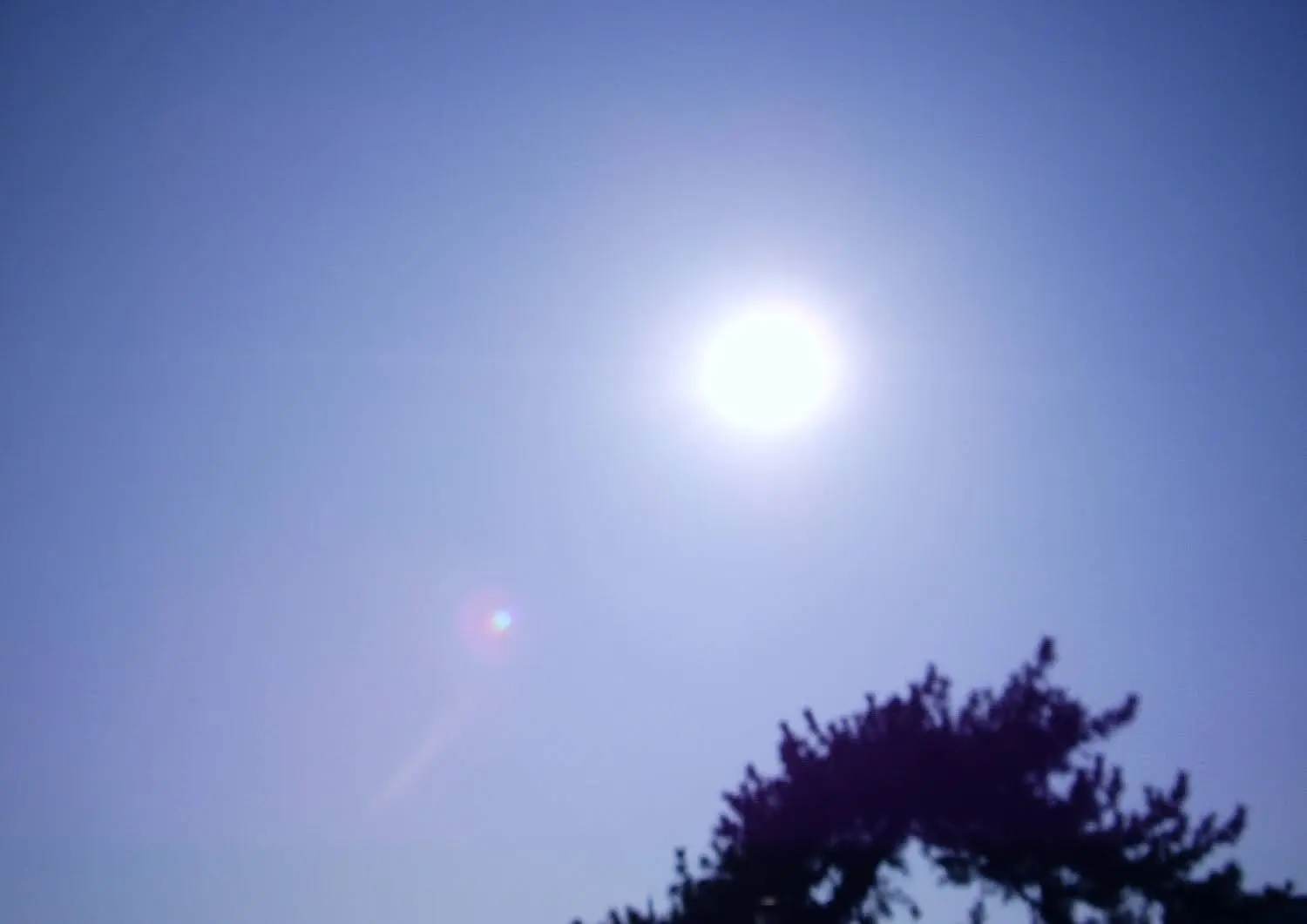 兵庫県神戸市須磨区の須磨海浜公園.15