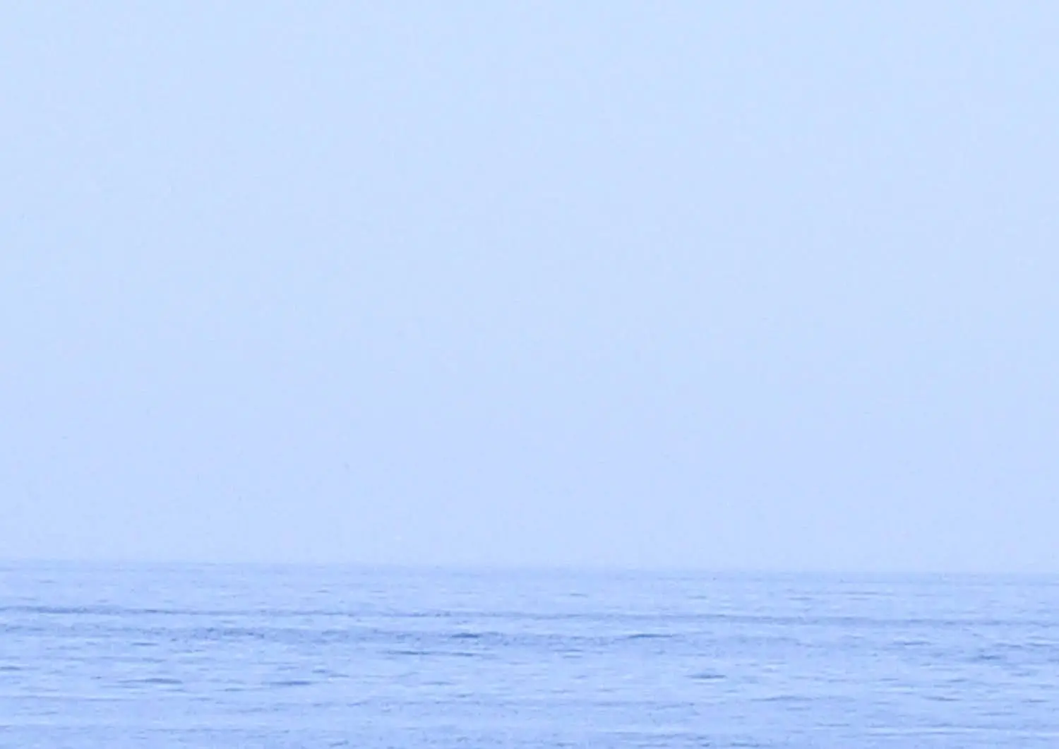 兵庫県神戸市須磨区の須磨海浜公園.8