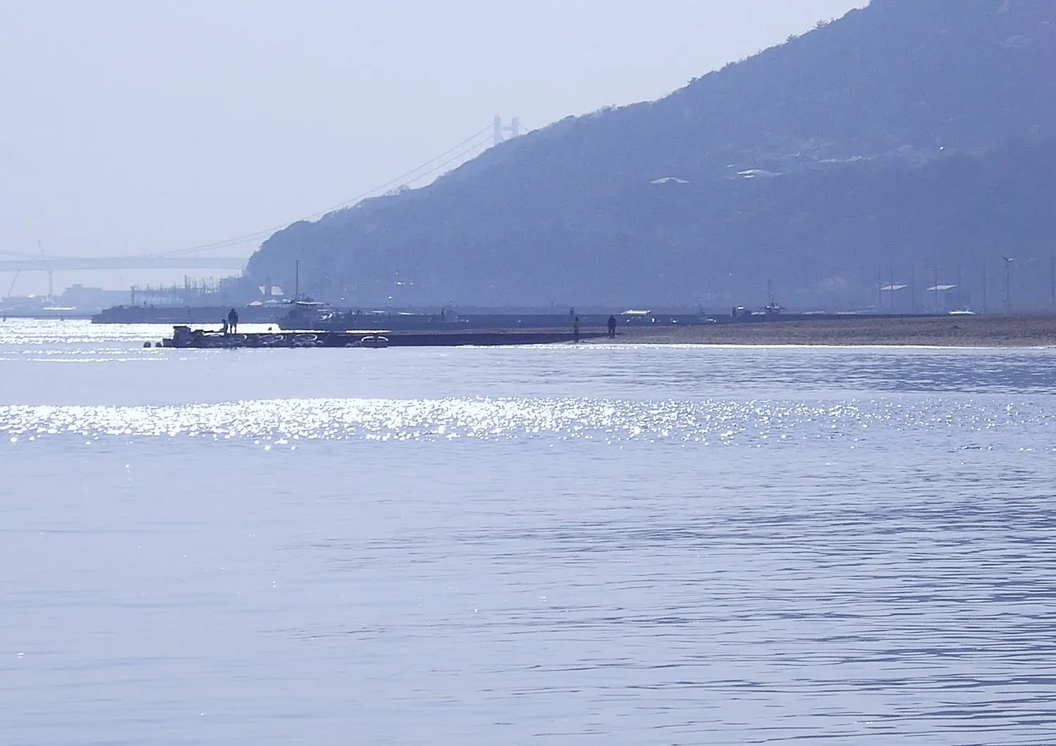 兵庫県神戸市須磨区の須磨海浜公園.6