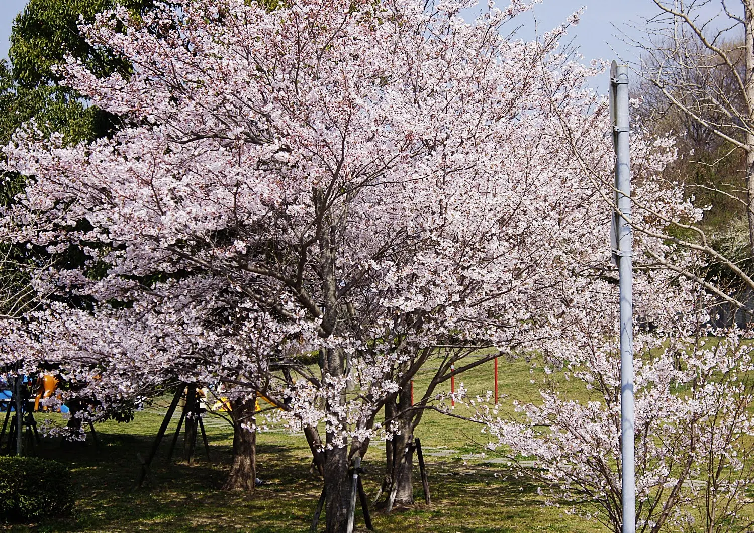 兵庫県神戸市須磨区稲葉町付近？